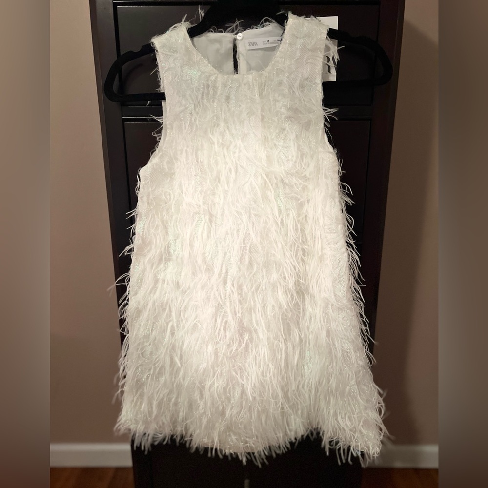 Zara Fringe Balloon Dress
